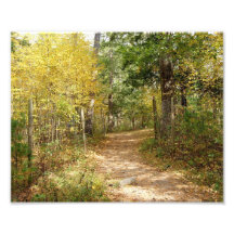 Happy Trails 10x8 Photographic Print