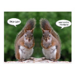 Happy Twins Day, Red Squirrel Humour, Cute and Per Postcard