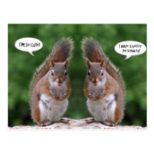 Happy Twins Day, Red Squirrel Humour, Cute and Per Postcard