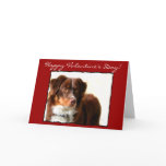 Happy Valentine's Day Australian Shepherd card