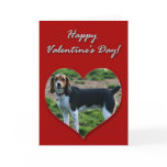 Happy Valentine's Day Beagle Dog Greeting Card