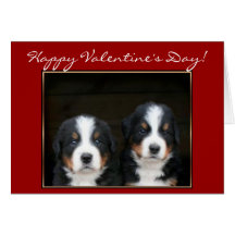 Happy Valentine's Day Bernese Mountain Dog card