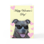 Happy Valentine's Day Blue pitbull with glasses