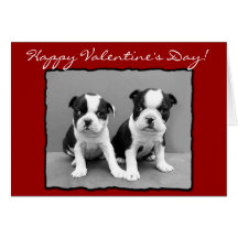 Happy Valentine's Day Boston Terrier Greeting Card