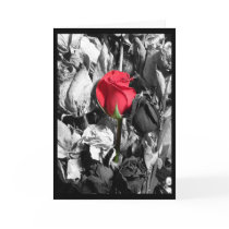 Happy Valentine's Day Cards