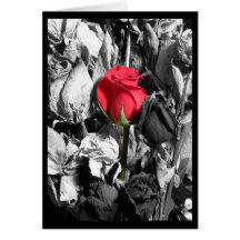Happy Valentine's Day Cards