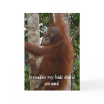 Happy Valentine's Day Funny Hairdo Greeting Card
