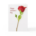 Happy Valentine's Day Greeting Card
