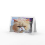 Happy Valentine's Day Persian Cat Humour cards