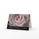 Happy Valentine's Day Pink Rose Card