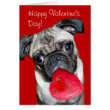 Happy Valentine's Day pug greeting card