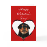 Happy Valentine's Day  Rottweiler greeting card