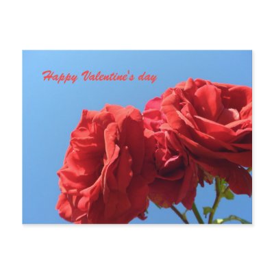Happy Valentine's Day with pink roses Post Card by Rainmountain