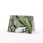 HappyBirthday Mallard card-can change inside words