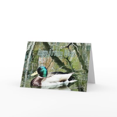 HappyBirthday Mallard card-can change inside words by MakaraPhotos