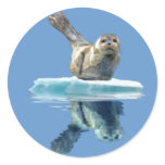 HARBOR-SEAL PUP Wildlife-supporter Sticker