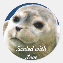 HARBOR-SEAL PUP Wildlife-supporter Sticker