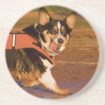 Harbour Patrol Beverage Coaster
