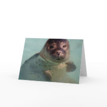 Harbour Seal Greeting Card