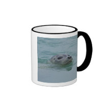 Harbour Seal swimming in Jokulsarlon glacial lake Coffee Mugs