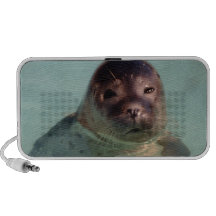 Harbour Seals Speakers