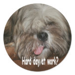 Hard day at work puppy dog shih tzu stickers