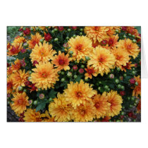 "Hardy Mums" Cards