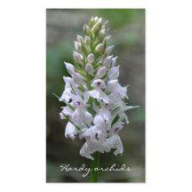 Hardy orchids business card