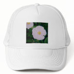 HARDY PINKS hats