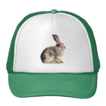 Hare Hats