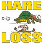 hare loss funny hair loss fable pun cartoon photo sculptures