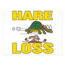 hare loss funny hair loss fable pun cartoon post card