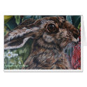 hare today gone tomorrow cards