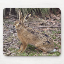 Hare Today, Gone Tomorrow Mousemat mousepads