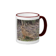 Hare Today, Gone Tomorrow Mug