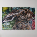 hare today gone tomorrow posters