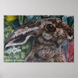 hare today gone tomorrow posters