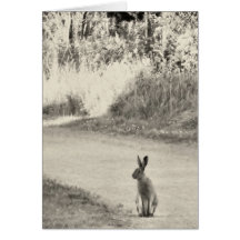 Hare today greeting card