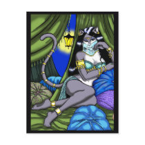 Harem Cat Postcard
