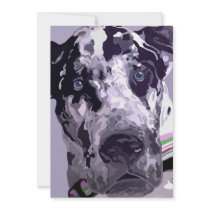 Harlequin Great Dane Card-great price!