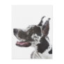 Harlequin Great Dane Postcard