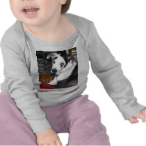 Harlequin Great Dane Tshirt