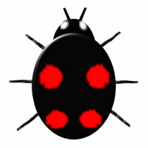 Harlequin Ladybird Photo Sculpture