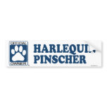 Harlequin Pinscher Blue bumper stickers