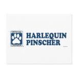 Harlequin Pinscher Blue postcards