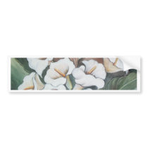 Harmonia de Jarros - óleo - 40x60 Bumper Sticker