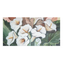 Harmonia de Jarros - óleo - 40x60 Picture Card