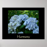 Harmony Art Print gifts Blue Hydrangea Flowers