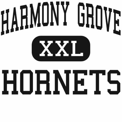 Harmony Grove - Hornets - High - Camden Arkansas Polo T-shirt by customteamsportswear