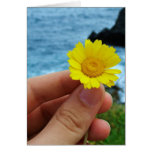 Harmony with Nature Cards